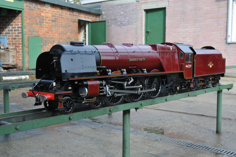 Full size picture from gallery page.