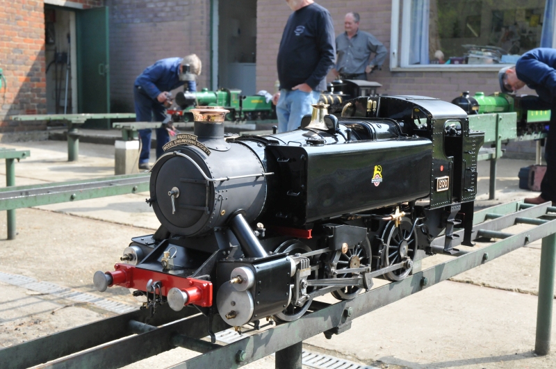 Full size picture from gallery page.